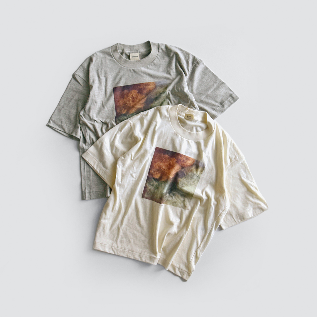 UNDYED A_Ch ʒ FI[KjbNRbg  vg TVc g30PV S/S PtTee PHOTO BALLh yHOSHII TO DEAU zVCgfAEz@uns25sst001g-yo